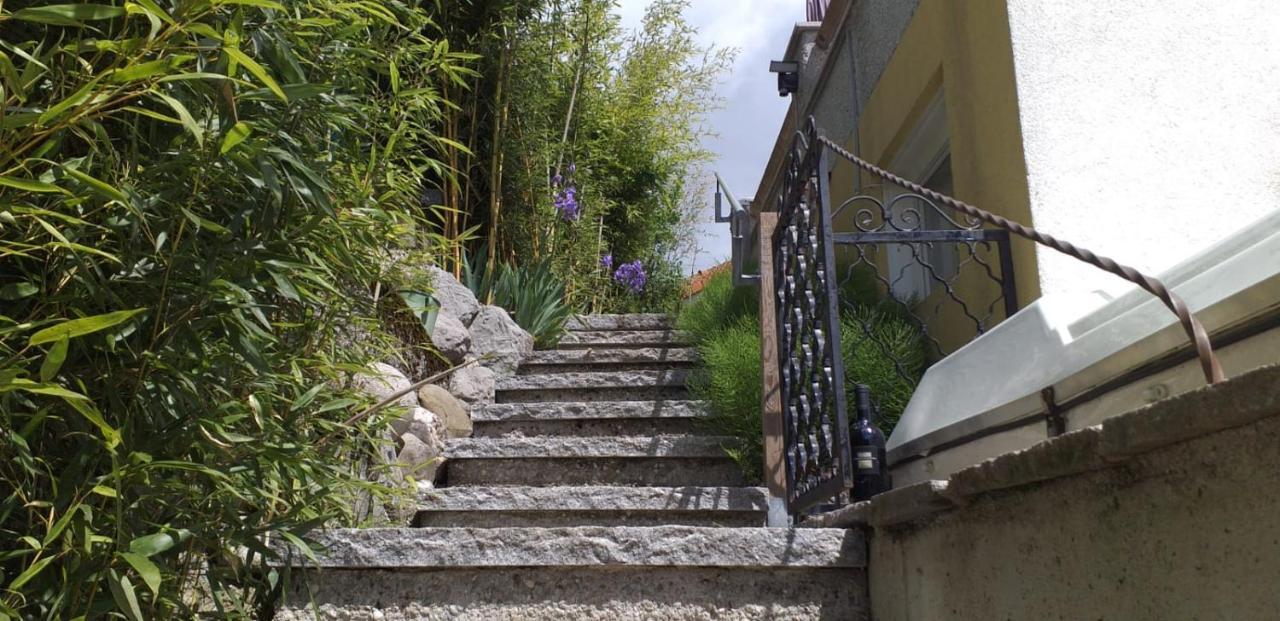 Ferienwohnung Wiesmuehlstrasse Henndorf am Wallersee Exteriér fotografie