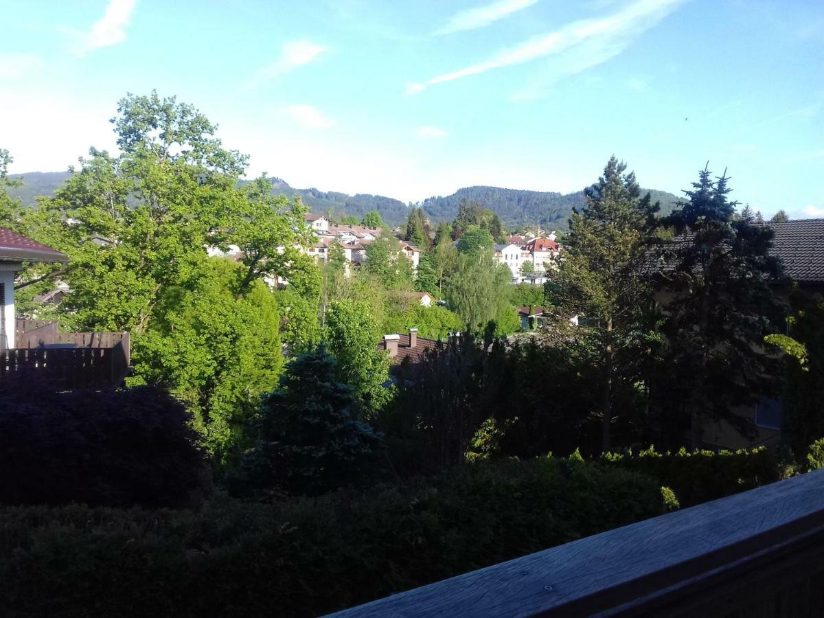 Ferienwohnung Wiesmuehlstrasse Henndorf am Wallersee Exteriér fotografie